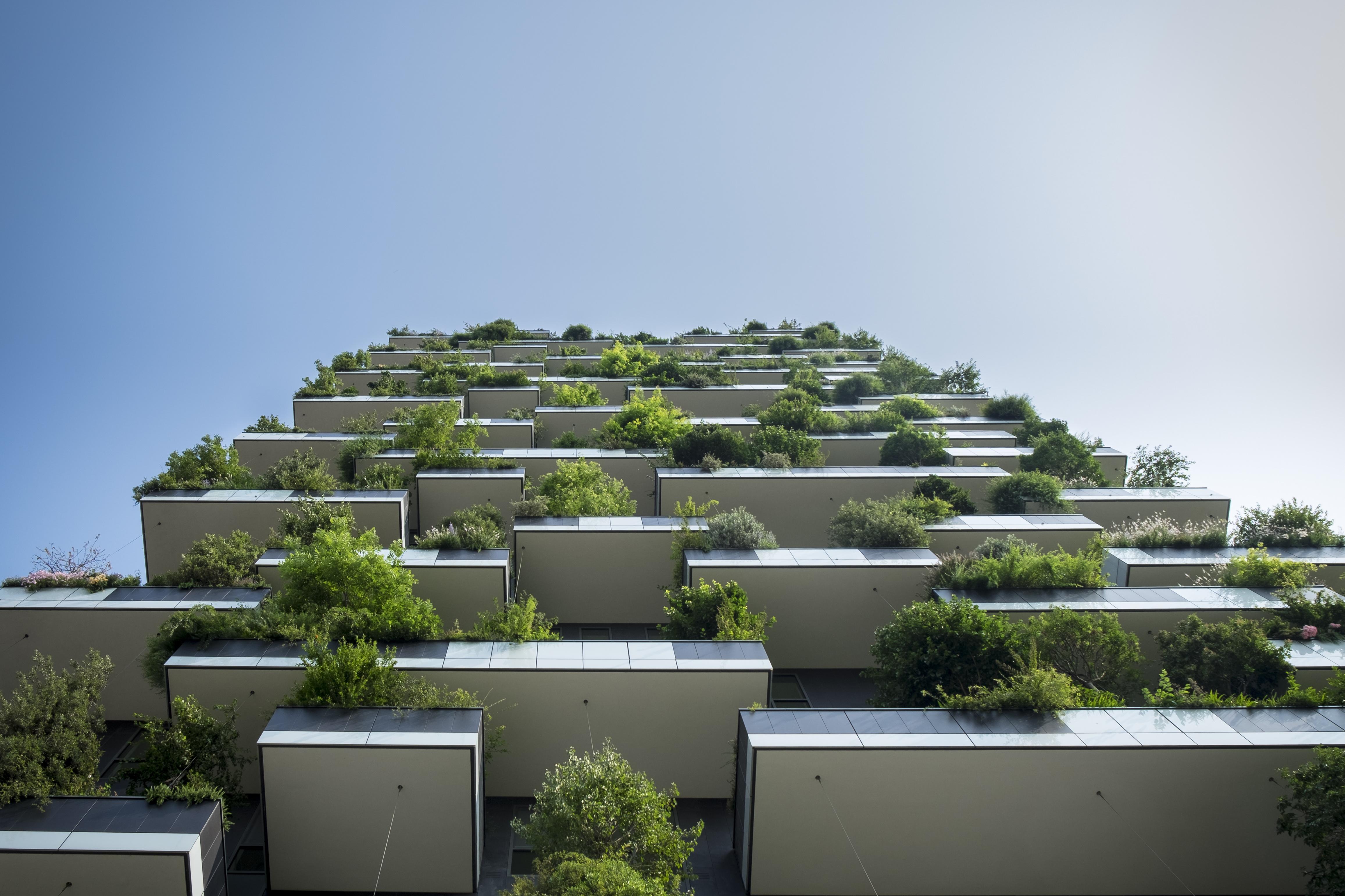 A building with lots of plants growing on its exterior.